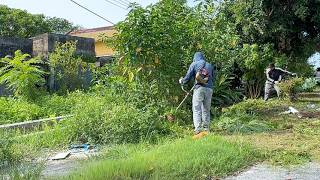 Transforming an Abandoned House Cleaning Up a Messy Front Yard & Hallway
