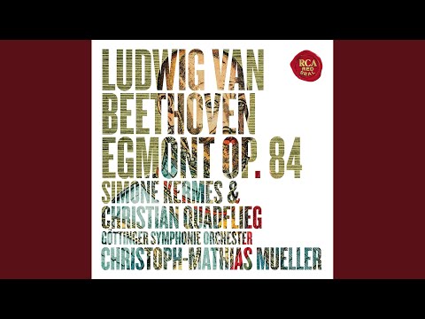 Immagine anteprima YouTube