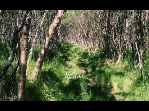 Frøkedal & Familien - Set Your Spirit Free (Lyric video)