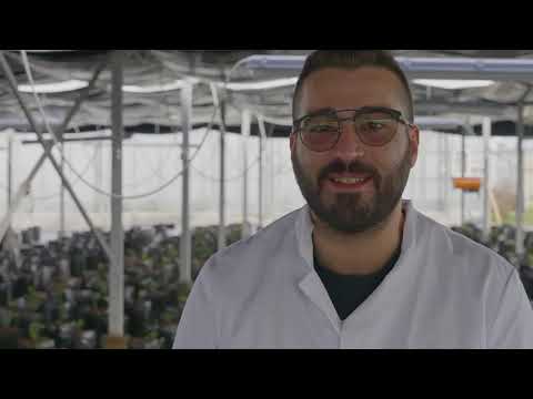 Prevenzione di dipendenza alcolica di gioventù Cura di Ulyanovsk di alcolismo