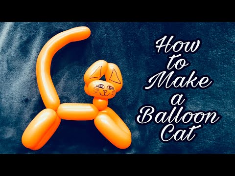How to Make a Balloon Cat