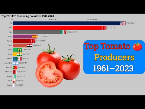 Top Tomato Producing Countries 1961–2023 | Tomato Producers