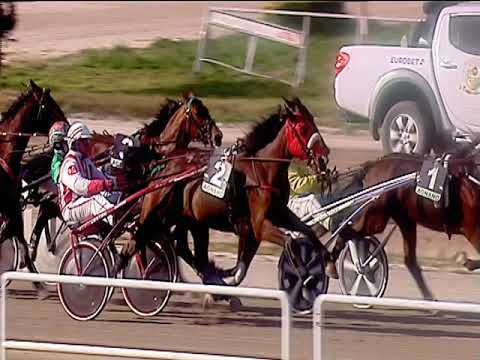 Trotto 08/03/2019 - 1ª corsa