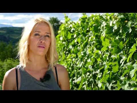 ,,Ukusi i mirisi " - 23.07.2016.