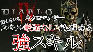 ネクロマンサー　奥義スキルも影に！強すぎるシャドウダメージ関連スキルで敵をなぎ倒す！