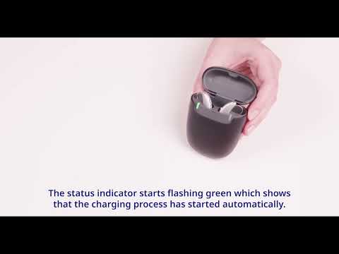 How to use the Travel Charger RIC