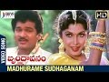 Brindavanam Telugu Movie Songs Madhurame Sudhaganam Video Song Rajendra Prasad Ramya Krishna