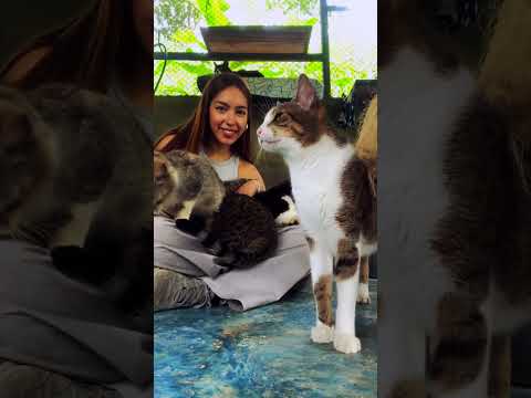 Voluntours Colombia — video 2