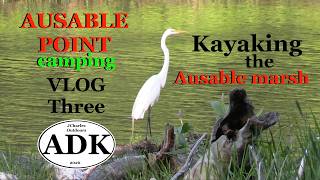 Ausable Point Camping VLOG THREE Kayaking the Ausable Marsh Wildlife videography More thunder storms