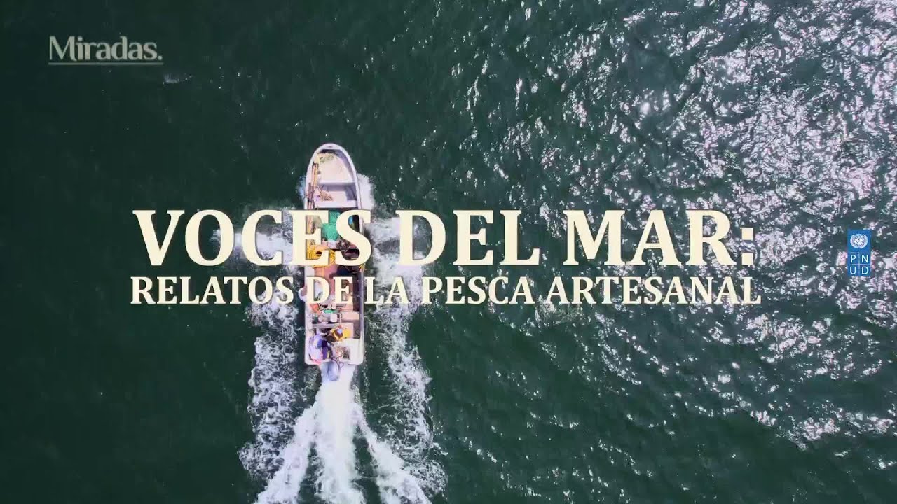 Miradas PNUD | Voces del mar: relatos de la pesca artesanal | 24 Horas TVN Chile