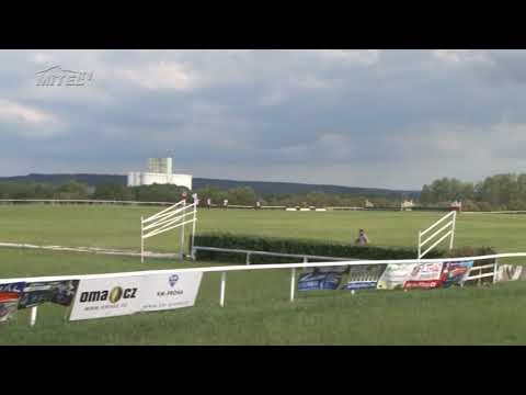 MI, 2. 6. 2018, 7. dostih - Cena firmy ROKO