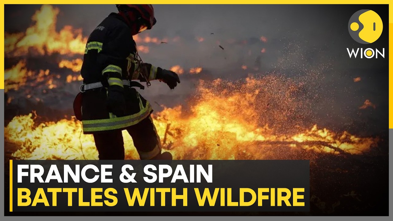 Europe's Worst Wildfire Season in Decades; Thousands of Acres of Land Left Gutted | WION