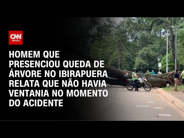 Parque do Ibirapuera: Homem relata momento de queda de árvore em SP | HORA H