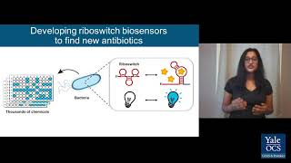 Yale 2020 3-Minute Thesis Competition Winners Announced! thumbnail image
