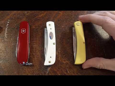 Part 1 Knife steel test Case Stainless vs Case Carbon vs Victorinox (unexpected results)