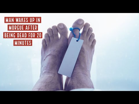 Witness21 Editor  2022 07 04