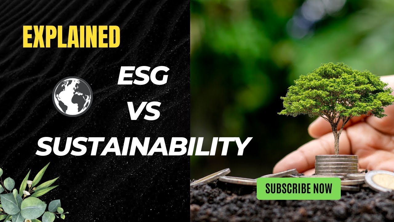 Difference ESG vs Sustainability Explained | #sustainability #esg