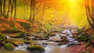 Relaxing Autumn Music - Harmony for Emotional Healing, Deep Calm & Mindful Meditation