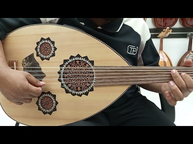 عود كهربائي احترافي سوبر لوكس