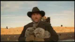 cowboys herding cats Video