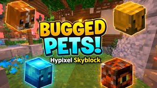 Unobtainable & Bugged Pets in Hypixel SkyBlock