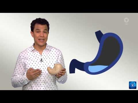 What alcohol does in the body