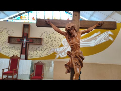 Solenidade Domingo de Ramos da Paixão do Senhor (29/03/2026) Pe Raniery Alencar.