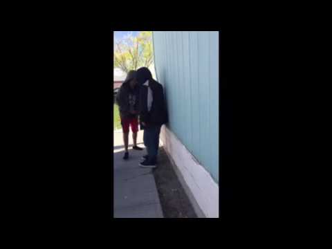 Bluebird vs jocksson money