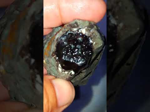 Black Opal Sempur Banten 1kg price 100 only 45 WA 085779408746
