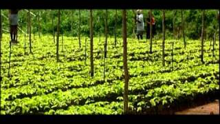 preview picture of video 'Kraftfoods Cadbury - India Cocoa Gold - Short Video'