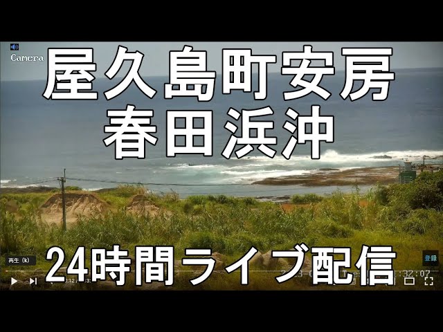 屋久島 春田浜タイドプール沖