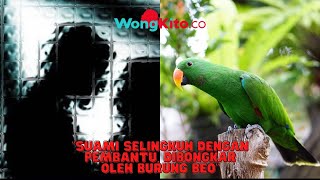 Download lagu “Perselingkuhan Majikan dan Pembantu, Dibongkar Burung Beo” Istri Curiga Dengar Kalimat Aneh Ini mp3 Download lagu “Perselingkuhan Majikan dan Pembantu, Dibongkar Burung Beo” Istri Curiga Dengar Kalimat Aneh Ini mp3