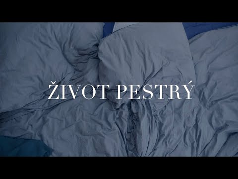 HELLO BRIAN - Život Pestrý (Official video)