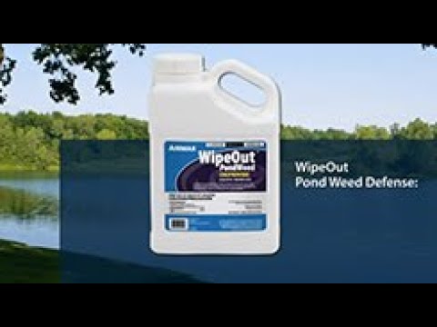 Airmax® WipeOut™ PondWeed Defense® – All-Season Pond Weed Control
