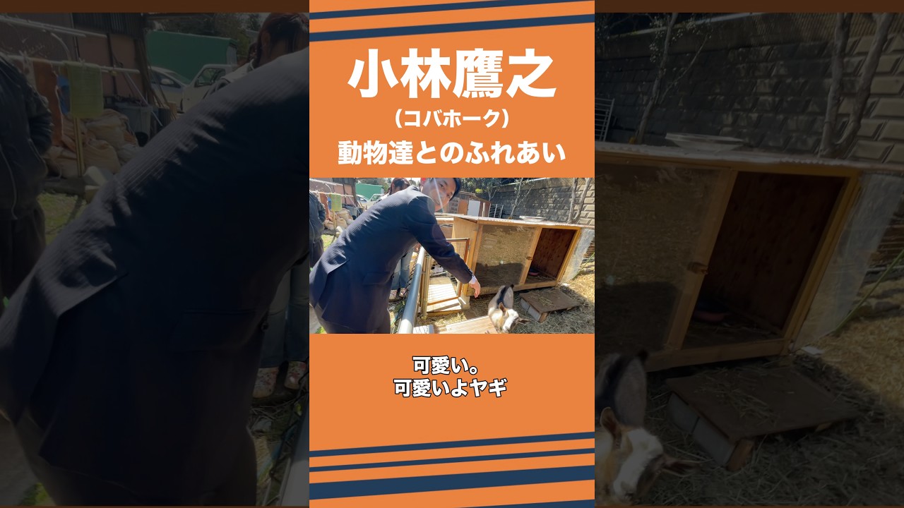 動物達とふれあいました！