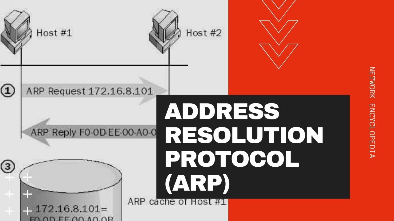 Address Resolution Protocol and the ARP Command - Network Encyclopedia