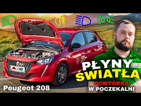 Peugeot 208 PŁYNY i ŚWIATŁA KAT. B - Czynności KONTROLNO-OBSŁUGOWE - EGZAMIN WORD - SZYBKA POWTÓRKA