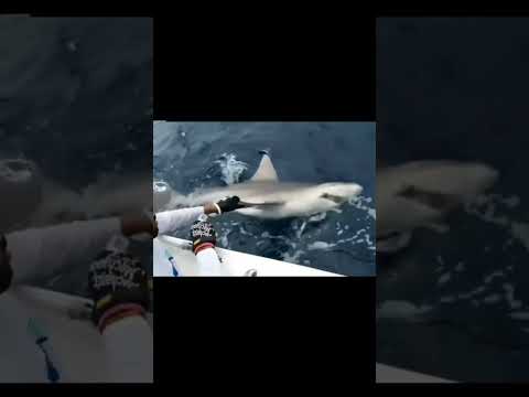 MERMAID Caught on CAMERA ( Real footage video ) #shorts #short