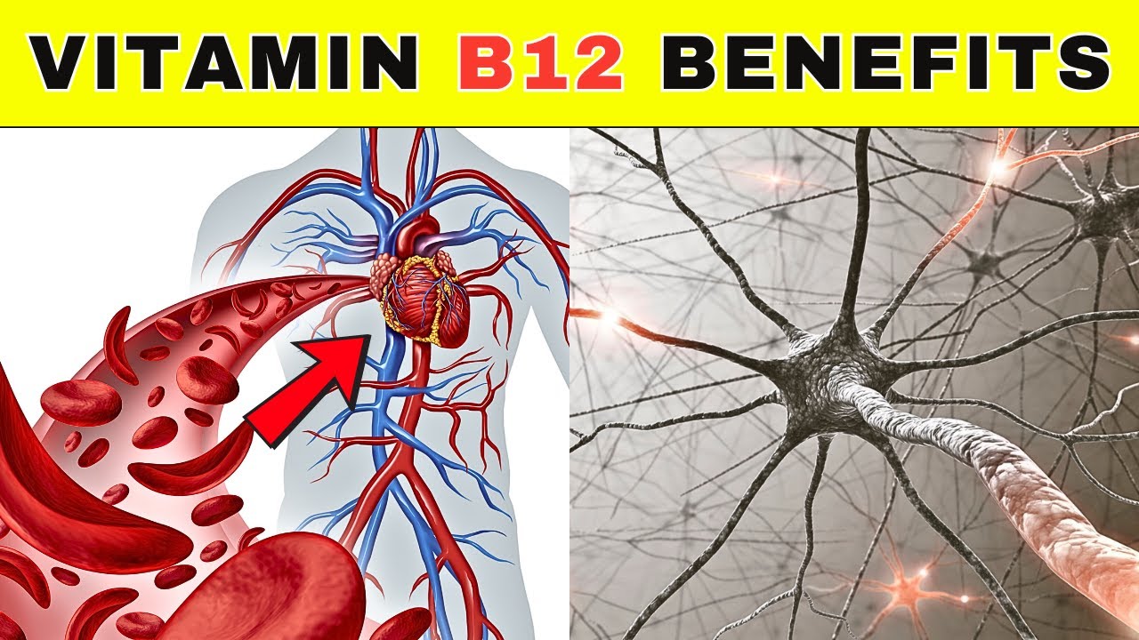 10 Reasons Your Body Needs Vitamin B12 Daily!