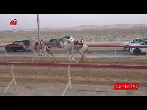  ش 4 (متعب) لـ سعيد محمد العصري الخييلي 6:37 ، مهرجان العين 2026/07/12 حول وزمول سويحان