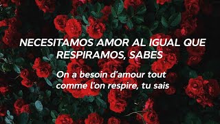 Un Grand Amour - Carla Bruni  (español/ paroles)