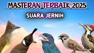 Download lagu MASTERAN MURAI BATU ROLL TEMBAKAN JADIKAN MURAI BATU MATERI MEWAH KERAS SUARA JERNIH MUDAH DITIRU mp3 Download lagu MASTERAN MURAI BATU ROLL TEMBAKAN JADIKAN MURAI BATU MATERI MEWAH KERAS SUARA JERNIH MUDAH DITIRU mp3