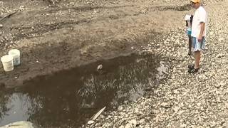 Dry weather, need for water to fight fires kill hundreds of fish on Lolo Cr