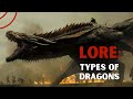 Dragons Types And Origin Of Dragons