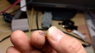 Costco outdoor LED christmas lights suck