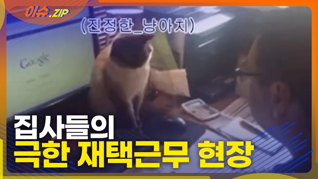 집사들이 재택근무를 힘들어하는 이유