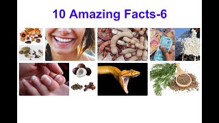 10 Amazing Facts - 6