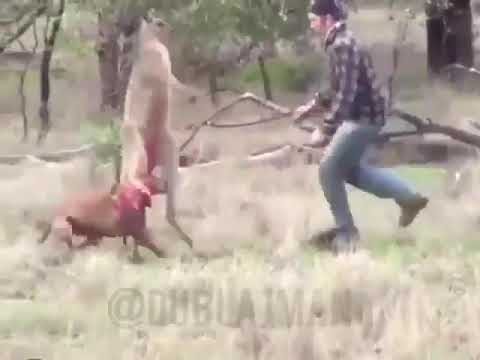 Alın bunu kusacak bu