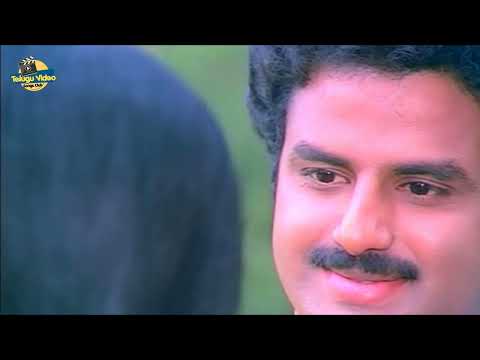 BALAYYA BABU AND RAJANI TELUGU DUET SONG EMANI PAADANU | SEETHARAMA KALYANAM