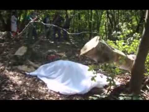 ONDA TG 16.07.2013 - TRAGEDIA A CAMPO DI GIOVE: TAGLIA UN ALBERO E MUORE